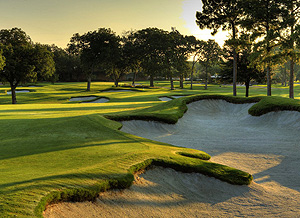 Record Number of Entries for 105th Texas Amateur