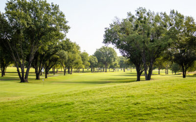 41st Texas Mid-Amateur Presented by Hytera US Set for Sept. 6-8