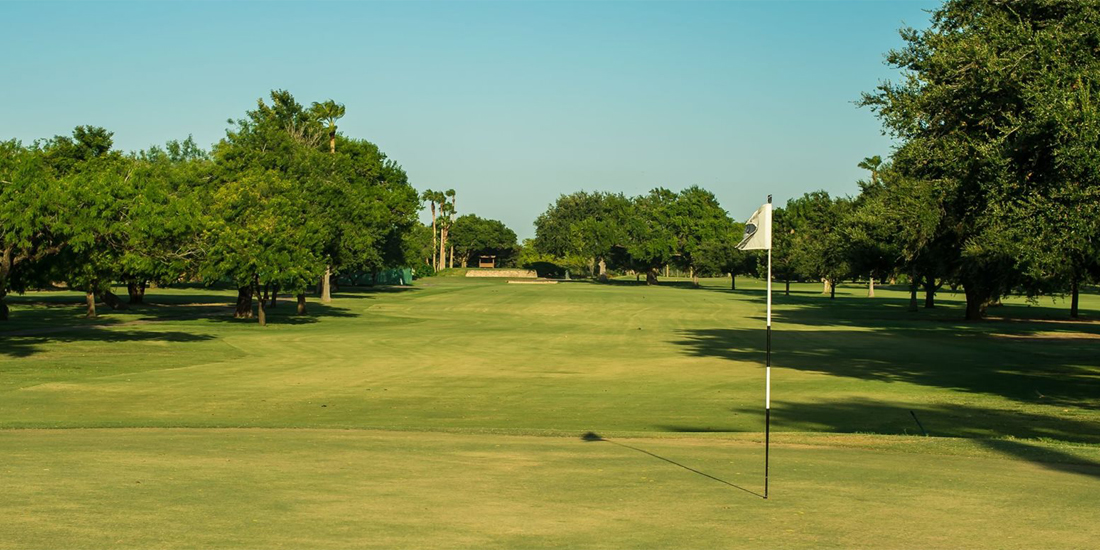 McAllen Website