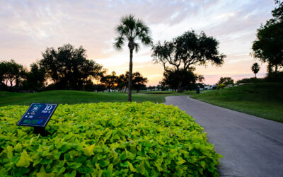 McAllen Country Club to Host 88th Texas Senior Amateur