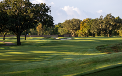 Round 1 Suspended Due to Darkenss at 89th Texas Senior Amateur pres. by Republic Aviation